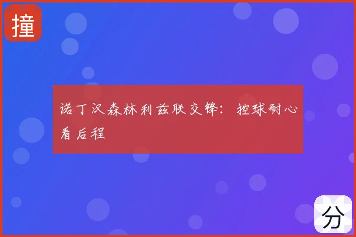 诺丁汉森林利兹联交锋:控球耐心看后程