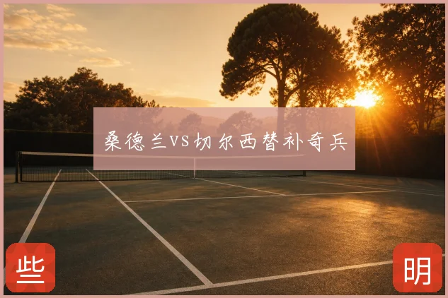 桑德兰vs切尔西替补奇兵
